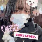 ヒメ日記 2026/02/18 18:30 投稿 あか 奴隷コレクション梅田店