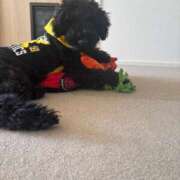 ヒメ日記 2025/12/31 17:10 投稿 さや すごいエステ 名古屋店