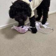 ヒメ日記 2026/02/02 20:32 投稿 さや すごいエステ 名古屋店