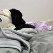 ヒメ日記 2026/02/12 02:45 投稿 さや すごいエステ 名古屋店