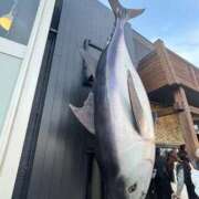 ヒメ日記 2026/02/15 18:15 投稿 さや すごいエステ 名古屋店