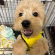 ヒメ日記 2026/02/15 18:25 投稿 さや すごいエステ 名古屋店