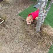 ヒメ日記 2026/03/10 18:49 投稿 さや すごいエステ 名古屋店