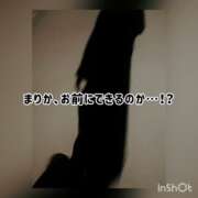 ヒメ日記 2024/12/24 21:56 投稿 まりか 贅沢なひと時