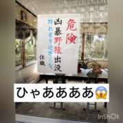 ヒメ日記 2024/12/30 16:04 投稿 まりか 贅沢なひと時