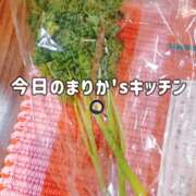 ヒメ日記 2025/02/12 00:45 投稿 まりか 贅沢なひと時
