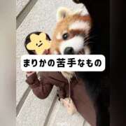 ヒメ日記 2025/11/28 18:07 投稿 まりか 贅沢なひと時