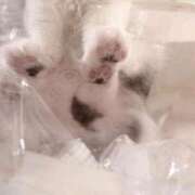 吉川 凛美 今日で1月もおしまい〜！ 東京貴楼館