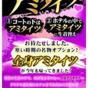 ヒメ日記 2024/12/02 09:42 投稿 ゆうこ 逢って30秒で即尺