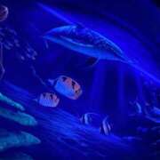 ヒメ日記 2025/06/01 12:30 投稿 きらら One More奥様　八王子店