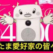 ヒメ日記 2024/11/24 08:08 投稿 華崎　みほ しこたま奥様 札幌店