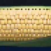 ヒメ日記 2024/12/17 19:19 投稿 華崎　みほ しこたま奥様 札幌店