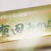 ヒメ日記 2024/12/31 08:05 投稿 華崎　みほ しこたま奥様 札幌店