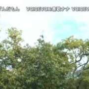 ヒメ日記 2024/12/31 12:05 投稿 華崎　みほ しこたま奥様 札幌店