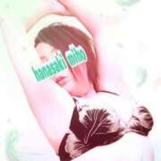 ヒメ日記 2025/06/09 11:07 投稿 華崎　みほ しこたま奥様 札幌店