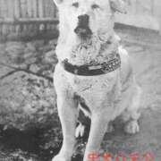 ヒメ日記 2025/04/08 13:27 投稿 有馬みそら セクシーキャット 神田店