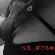 ヒメ日記 2025/05/16 11:30 投稿 有馬みそら セクシーキャット 神田店