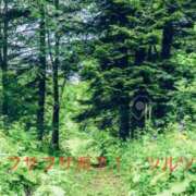 ヒメ日記 2025/06/04 13:21 投稿 有馬みそら セクシーキャット 神田店