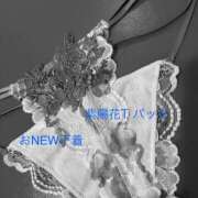 ヒメ日記 2025/06/06 11:39 投稿 有馬みそら セクシーキャット 神田店