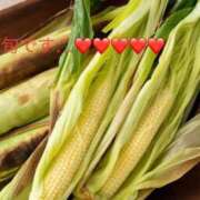 ヒメ日記 2025/06/18 12:30 投稿 有馬みそら セクシーキャット 神田店