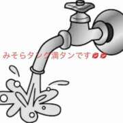 ヒメ日記 2025/08/26 13:20 投稿 有馬みそら セクシーキャット 神田店