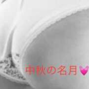 ヒメ日記 2025/10/06 11:33 投稿 有馬みそら セクシーキャット 神田店