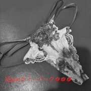 ヒメ日記 2025/10/14 11:54 投稿 有馬みそら セクシーキャット 神田店