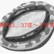 ヒメ日記 2025/10/17 12:17 投稿 有馬みそら セクシーキャット 神田店