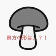 ヒメ日記 2025/11/07 10:56 投稿 有馬みそら セクシーキャット 神田店