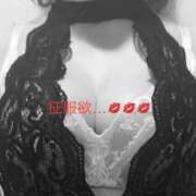 ヒメ日記 2025/11/11 11:03 投稿 有馬みそら セクシーキャット 神田店