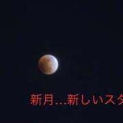 ヒメ日記 2025/11/19 11:43 投稿 有馬みそら セクシーキャット 神田店