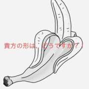 ヒメ日記 2025/11/21 11:17 投稿 有馬みそら セクシーキャット 神田店