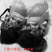 ヒメ日記 2025/11/26 13:12 投稿 有馬みそら セクシーキャット 神田店