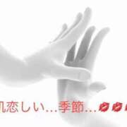 有馬みそら 【人肌…】 セクシーキャット 神田店