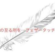 ヒメ日記 2025/12/19 11:28 投稿 有馬みそら セクシーキャット 神田店