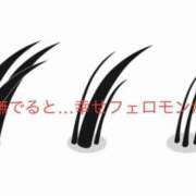 ヒメ日記 2025/12/23 13:08 投稿 有馬みそら セクシーキャット 神田店
