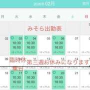 ヒメ日記 2026/02/03 15:00 投稿 有馬みそら セクシーキャット 神田店