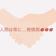 ヒメ日記 2026/02/25 14:00 投稿 有馬みそら セクシーキャット 神田店