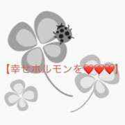 ヒメ日記 2026/03/25 14:08 投稿 有馬みそら セクシーキャット 神田店