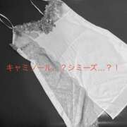 ヒメ日記 2026/03/31 10:54 投稿 有馬みそら セクシーキャット 神田店