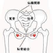 有馬みそら 【恥骨…】 セクシーキャット 神田店