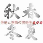 ヒメ日記 2026/05/01 13:15 投稿 有馬みそら セクシーキャット 神田店