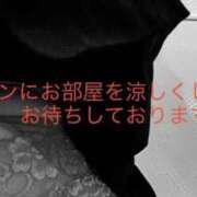 ヒメ日記 2026/07/14 12:56 投稿 有馬みそら セクシーキャット 神田店