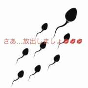 ヒメ日記 2026/07/28 14:53 投稿 有馬みそら セクシーキャット 神田店