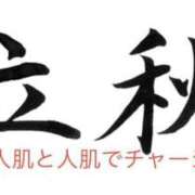 ヒメ日記 2026/08/07 12:45 投稿 有馬みそら セクシーキャット 神田店