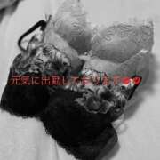 ヒメ日記 2026/08/12 14:40 投稿 有馬みそら セクシーキャット 神田店