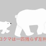 有馬みそら 【シロクマ…】 セクシーキャット 神田店