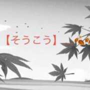 ヒメ日記 2026/10/23 11:05 投稿 有馬みそら セクシーキャット 神田店