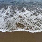 ヒメ日記 2026/03/17 20:58 投稿 白雪ゆうな グランエステ東京 品川（シンデレラグループ）