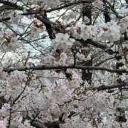 ヒメ日記 2026/03/27 20:03 投稿 白雪ゆうな グランエステ東京 品川（シンデレラグループ）